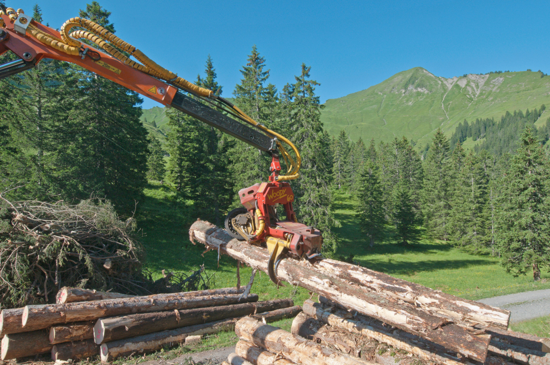 STRATUURA Naturholzdecken, Produktion von A bis Z